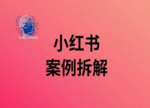 小红书案例拆解，深度解读小红书40万粉-木石资源网