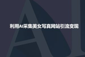 利用AI采集美女写真网站引流变现,引流嘎嘎的-木石资源网