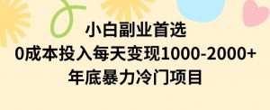 小白副业首选，0成本投入，每天变现1000-2000年底暴力冷门项目【揭秘】-木石资源网