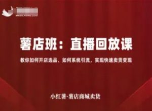 小红薯薯店商城卖货直播回放课,教你如何开店选品、如何系统引流,实现快速卖货变现-木石资源网