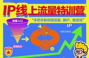 IP线上流量特训营,手把手教你搞流量、做IP、稳变现-木石资源网