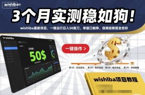 3个月实测稳如狗！wishlba最新项目，一键运行日入50美刀，单窗口躺挣，保姆级教程全给你【揭秘】-木石资源网