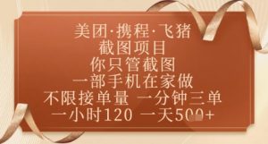 飞猪美团截图项目,你只管截图,一部手机在家做,正规平台无套路,一天5张+【揭秘】-木石资源网