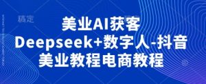 美业AI获客Deepseek+数字人-抖音美业教程电商教程-木石资源网