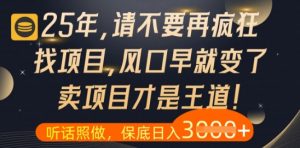 什么?25年你还在疯狂找项目做,醒醒吧,看完这些你全都懂了【揭秘】-木石资源网