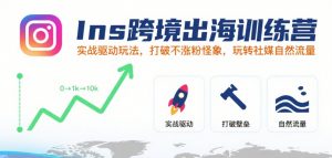 Ins跨境出海训练营,实战驱动玩法,打破不涨粉怪象,玩转社媒自然流量-木石资源网