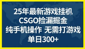 25年CSGO游戏搬砖，全自动挂G，不需要玩游戏，手机操作日入3张+【揭秘】-木石资源网