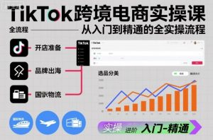 TikTok跨境电商实操课,从入门到精通的全实操流程-木石资源网