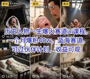 历史人物一生爆火赛道ai课程，一个月爆粉40w，蓝海赛道，可过伙伴计划，收益可观-木石资源网
