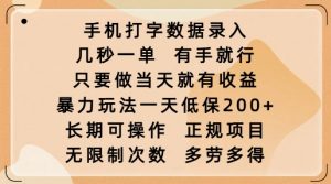 手机打字数据录入,几秒一单,有手就行,只要做当天就有收益,暴力玩法一天低保2张-木石资源网