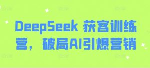 DeepSeek 获客训练营,破局AI引爆营销-木石资源网