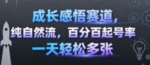 成长感悟赛道,纯自然流,百分百起号率 一天轻松多张-木石资源网