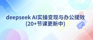 deepseek AI实操变现与办公提效(20+节课更新中)-木石资源网