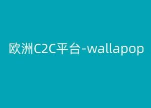 欧洲C2C平台-wallapop-kim跨境电商教程-木石资源网