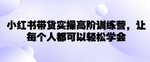 小红书带货实操高阶训练营,让每个人都可以轻松学会-木石资源网