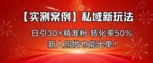 【实测案例】私域新玩法，日引30+精准粉，转化率50%，新人照做也能出单！-木石资源网