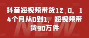 抖音短视频带货12.0，14个月从0到1，短视频带货90万件-木石资源网