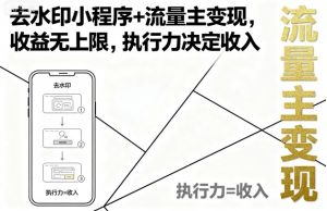 去水印小程序+流量主变现,收益无上限,执行力决定收入-木石资源网
