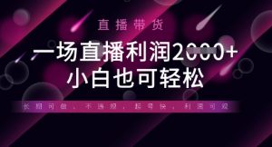 半无人直播带货,一场利润数张,适合所有平台玩法,小白也可轻松-木石资源网