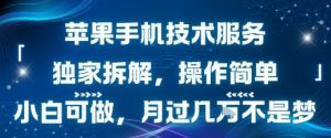 苹果手机技术服务,独家拆解,操作简单,小白可做,月过1W不是梦-木石资源网