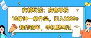 女粉玩法:高客单价,10分钟一条作品,日入1k+操作简单,手机就可以-木石资源网