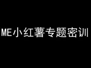 ME小红薯专题密训-小红书电商教程-木石资源网