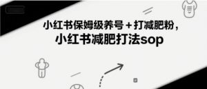 小红书保姆级养号+打减肥粉，小红书减肥打法sop-木石资源网