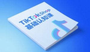 TikTok小店基础认知课,助力学员从 0 到 1 掌握 TikTok 电商运营全链路认知-木石资源网