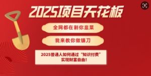 2025项目天花板普通人如何通过知识付费,实现财F自由【揭秘】-木石资源网