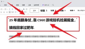25年底翻身仗,靠CSGO游戏挂G捡漏掘金,搞钱回家过肥年【揭秘】-木石资源网