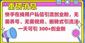 快手最新引流创业粉方法,无需养号、无需视频、搬砖式引流法【揭秘】-木石资源网