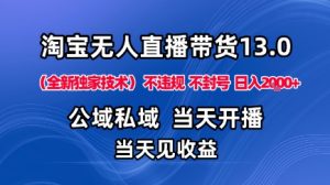淘宝无人直播13.0,公域私域技术,不封号,不违规布局下半年旺季赛道,日入1K+(独家技术)【揭秘】-木石资源网
