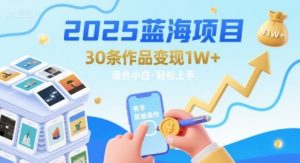 2025蓝海项目30条作品 变现1w+ 有手就能操作适合小白做-木石资源网