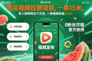 西瓜视频拉新项目,一单13米,有人悄悄用这个方法,一条视频收益2.5w+(附详细教程)-木石资源网