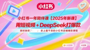小红书一年陪伴课【2025年新课】，用短视频+deepSeek打爆款，史上最干货的小红书店铺爆款课程-木石资源网