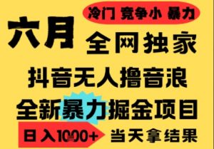 25年6月高爆抖音无人直播最新撸音浪掘金项目，小白可做，无脑日入1k+，门槛低可批量矩阵【揭秘】-木石资源网