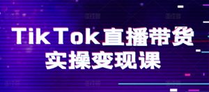 TikTok直播带货实操变现课:系统起号、科学复盘、变现链路、直播配置、小店操作流程、团队搭建等。-木石资源网