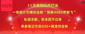 小红书11月最新图片打粉,一张图片引爆创业粉,“预算4980带我飞”,单条引流500+精准创业粉-木石资源网