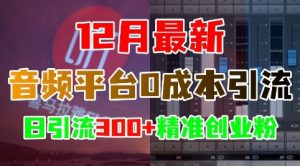 12月最新:音频平台0成本引流,日引流300+精准创业粉-木石资源网