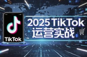 2025TikTok电商运营,掌握TikTok店铺运营核心技巧,实现低成本高转化-木石资源网