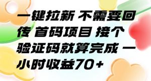 一键拉新 不需要回传 首码项目 接个验证码就算完成 一小时收益70+【揭秘】-木石资源网
