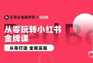 王导主·小红书电商运营实操课,从零打造 全程实操-木石资源网