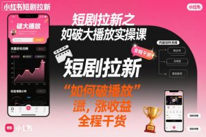 短剧拉新之小红书如何破大播放实操课，如何破播放，涨收益，全程干货-木石资源网
