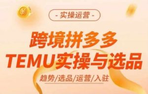 跨境拼多多TEMU实操与选品,多多temu跨境选品运营实操-木石资源网