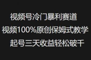 视频号冷门暴利赛道视频100%原创保姆式教学起号三天收益轻松破千-木石资源网