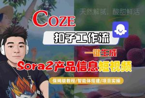 Coze扣子智能体工作流一键生成“SORA2产品信息“短视频,全流程保姆级教学-木石资源网