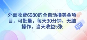 外面收费6980的全自动撸美刀项目，可批量，每天30分钟，无脑操作，当天收益5张【揭秘】-木石资源网