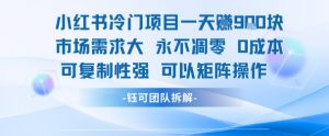 小红书冷门项目一天收益9张，市场需求大，0成本，可复制性强可以矩阵操作-木石资源网