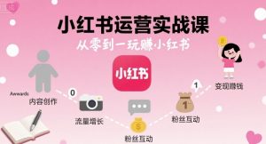 小红书运营实战课,从零到一玩賺小红书-木石资源网