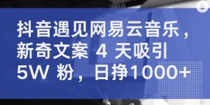 抖音遇见网易云音乐，新奇文案 4 天吸引 5W 粉，日挣1000+【揭秘】-木石资源网